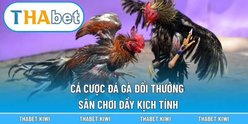 cá cược đá gà đổi thưởng