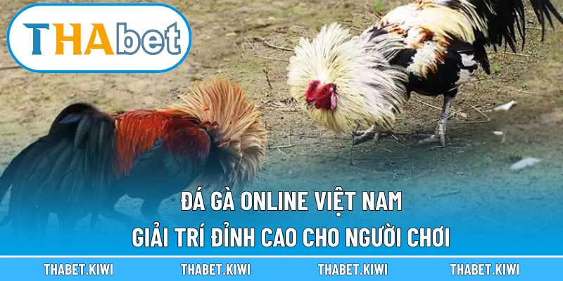 đá gà online Việt Nam