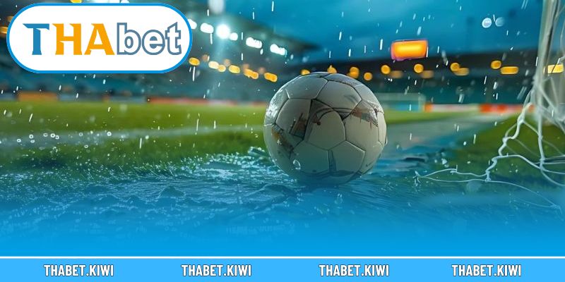 Sự thật đáng lo ngại phía sau kèo bịp và bài học đắt giá