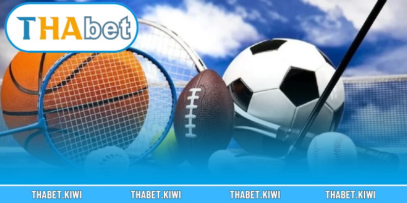 Trải nghiệm không gian thể thao đỉnh cao